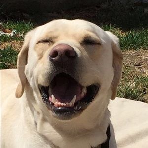 Meet your Posher, Jake